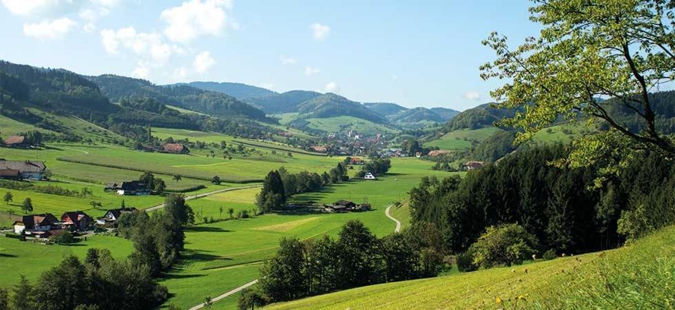Gasthaus Zum Wilden Mann Welschensteinach Exteriör bild