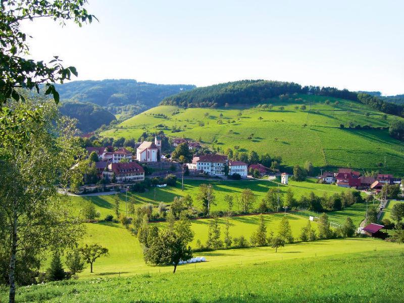 Gasthaus Zum Wilden Mann Welschensteinach Exteriör bild